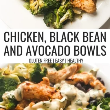 Delicious black bean, avocado, and chicken bowls served in a vibrant dish