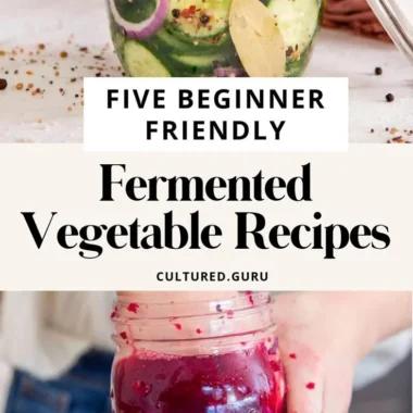 Easy fermented vegetable recipes for beginners, featuring colorful jars of homemade probiotics.