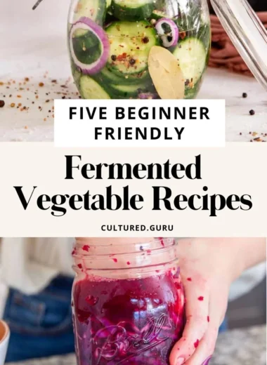 Easy fermented vegetable recipes for beginners, featuring colorful jars of homemade probiotics.