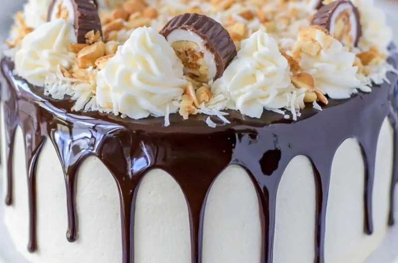Delicious Almond Joy Layer Cake with chocolate and coconut frosting.