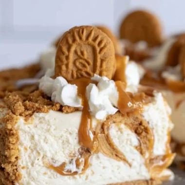 Delicious no-bake Cookie Butter Cheesecake topped with cookie crumbs