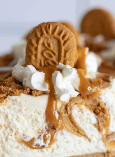 Delicious no-bake Cookie Butter Cheesecake topped with cookie crumbs